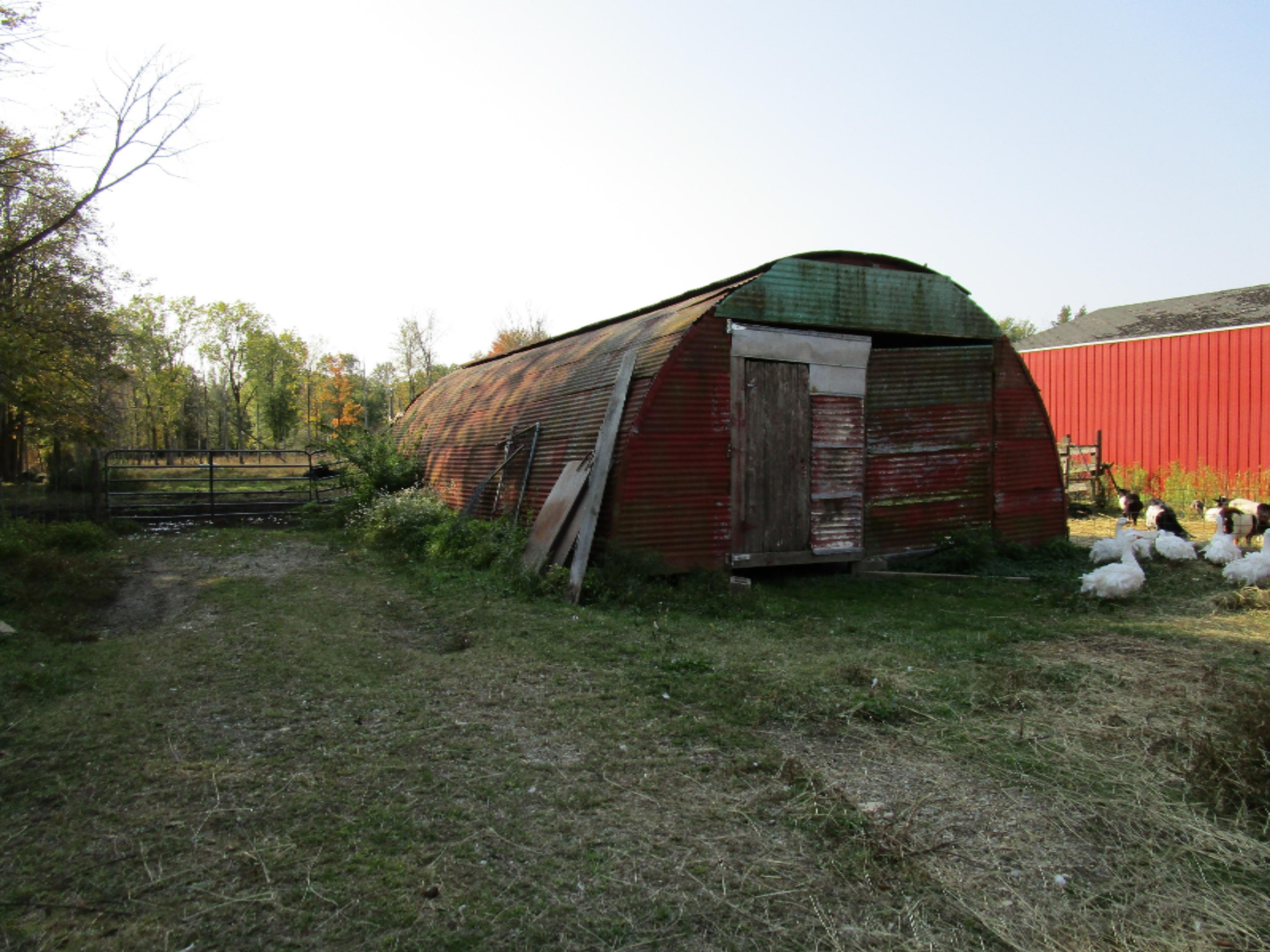 623 Bidwell Road Coldwater, MI 49036 - Photo 27 of 36 IMG_1826