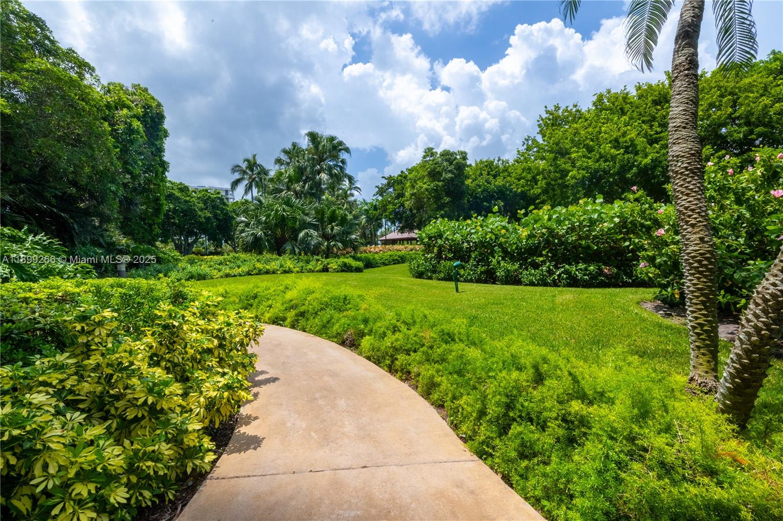 4000 Towerside Terrace, Unit 604 Miami, FL 33138 - Photo 37 of 79 a view of a garden with plants and large trees