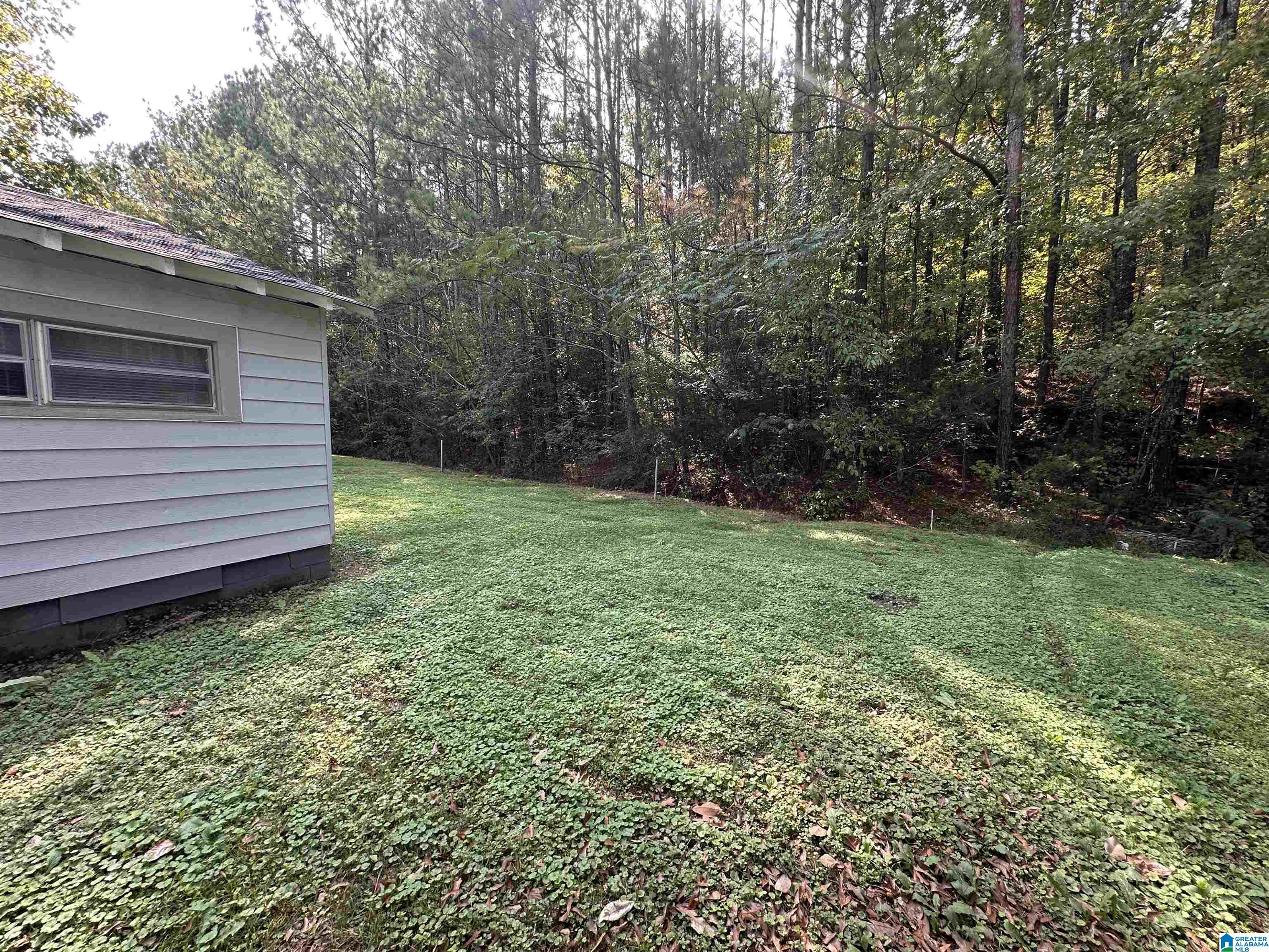 2795 Morris Majestic Road Morris, AL 35116 - Photo 23 of 23