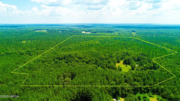 a view of a yard with an ocean
