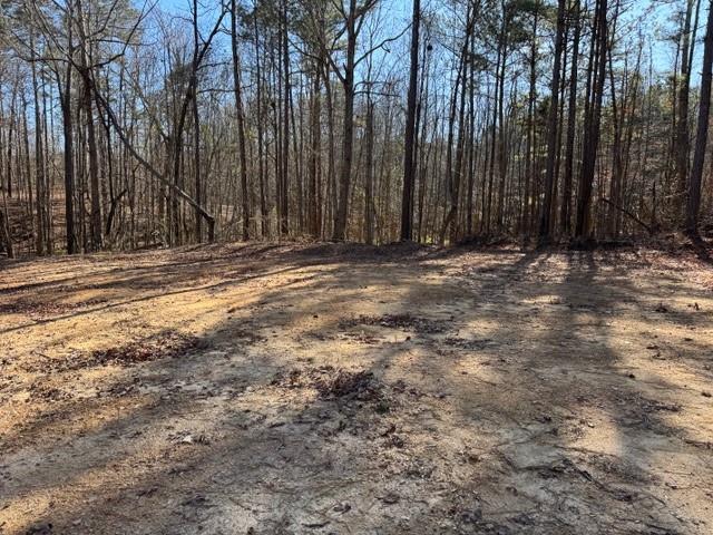 727 Central High Road Carrollton, GA 30116 - Photo 11 of 25 a view of a backyard of the house