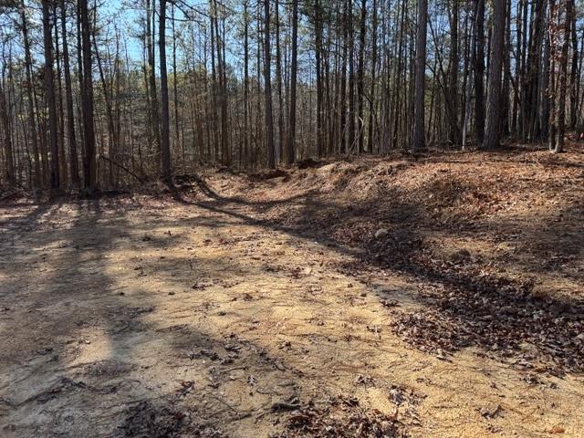 727 Central High Road Carrollton, GA 30116 - Photo 12 of 25 a view of wooden fence