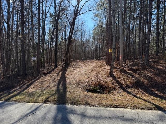 727 Central High Road Carrollton, GA 30116 - Photo 13 of 25 a view of a yard with large trees