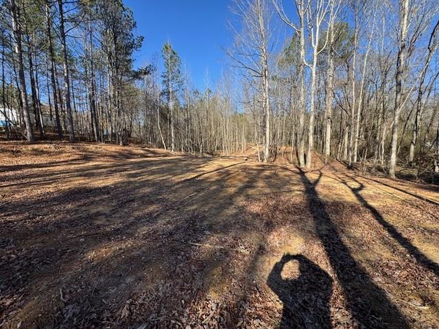 727 Central High Road Carrollton, GA 30116 - Photo 15 of 25 a view of road with large trees
