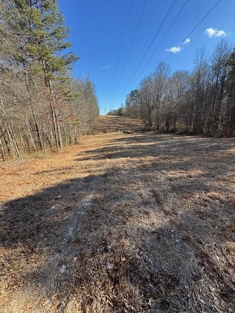 727 Central High Road Carrollton, GA 30116 - Photo 16 of 25 a view of dirt yard with a large tree