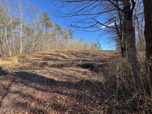 727 Central High Road Carrollton, GA 30116 - Photo 17 of 25 a view of a yard with wooden fence