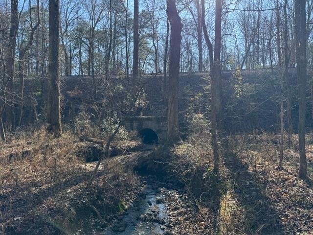 727 Central High Road Carrollton, GA 30116 - Photo 18 of 25 a view of a forest