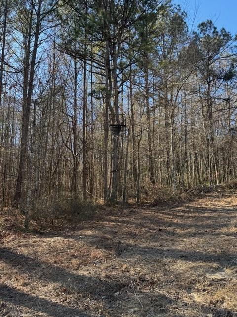 727 Central High Road Carrollton, GA 30116 - Photo 19 of 25 a view of a yard