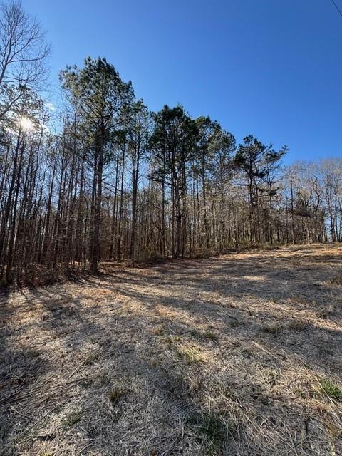 727 Central High Road Carrollton, GA 30116 - Photo 20 of 25 a view of a yard with a tree