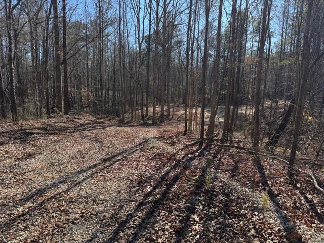 727 Central High Road Carrollton, GA 30116 - Photo 2 of 25 a view of a backyard with trees