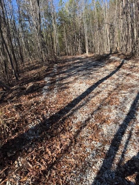 727 Central High Road Carrollton, GA 30116 - Photo 3 of 25 a view of a yard with large trees