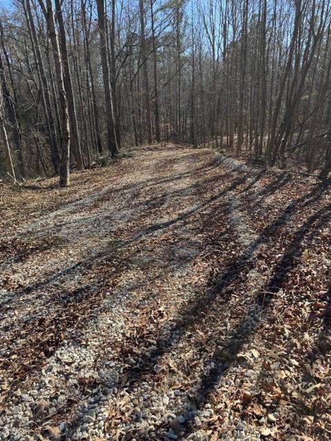 727 Central High Road Carrollton, GA 30116 - Photo 4 of 25 a view of a backyard
