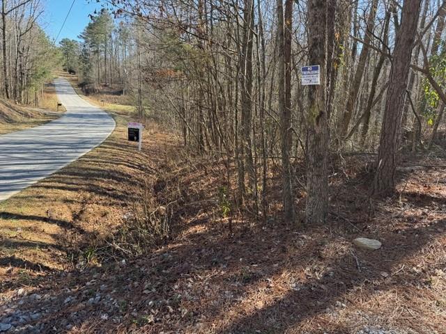 727 Central High Road Carrollton, GA 30116 - Photo 5 of 25 a view of a yard with trees