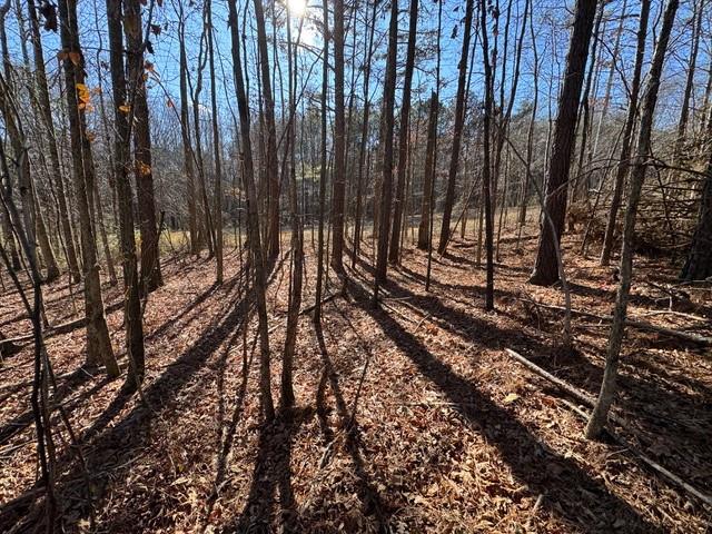 727 Central High Road Carrollton, GA 30116 - Photo 7 of 25 a view of a backyard of the house