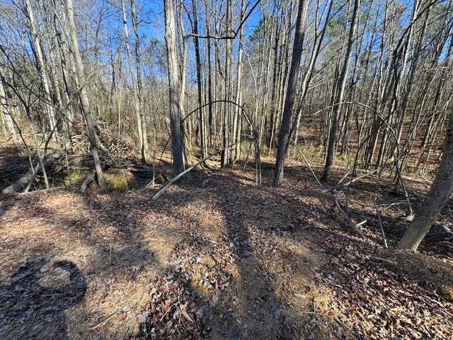 727 Central High Road Carrollton, GA 30116 - Photo 8 of 25 a backyard of a house with lots of green space