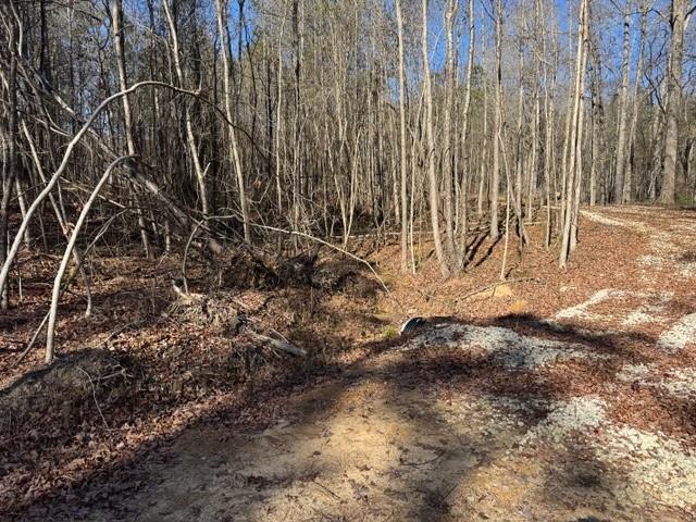 727 Central High Road Carrollton, GA 30116 - Photo 9 of 25 a view of a backyard with basketball court