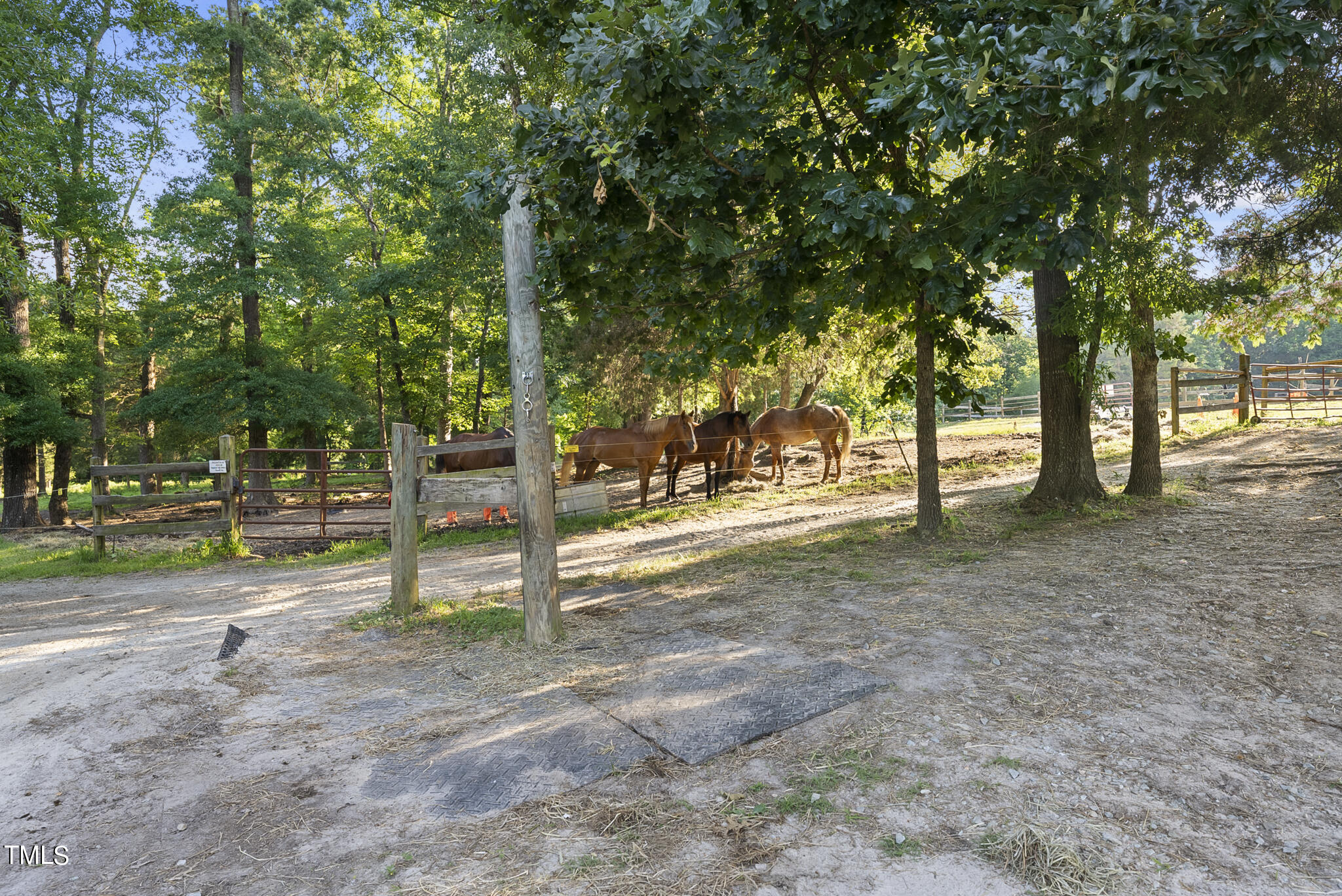 9402 Hampton Road Rougemont, NC 27572 - Photo 1 of 48 a view of a park with tree s