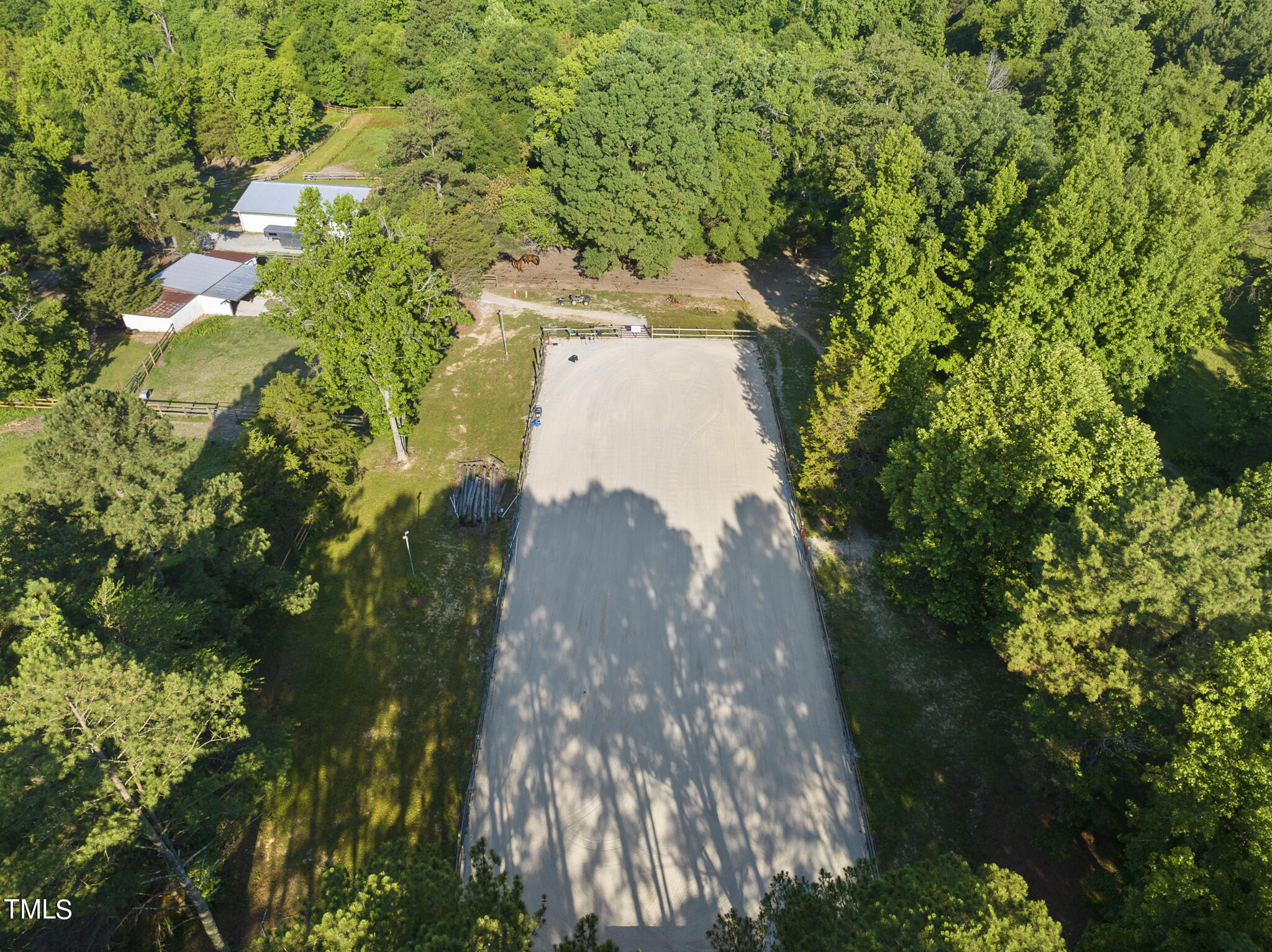 9402 Hampton Road Rougemont, NC 27572 - Photo 32 of 48 a view of a yard with plants