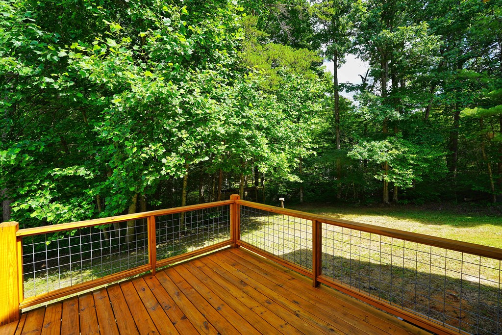 989 New Liberty Road Ellijay, GA 30536 - Photo 8 of 51 Gallery Image 8