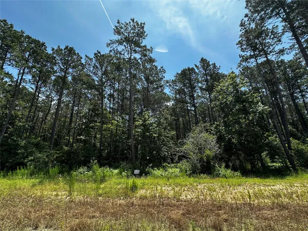 $250,000 | 11885 Dawn Tree Lane, Willis, TX 77378