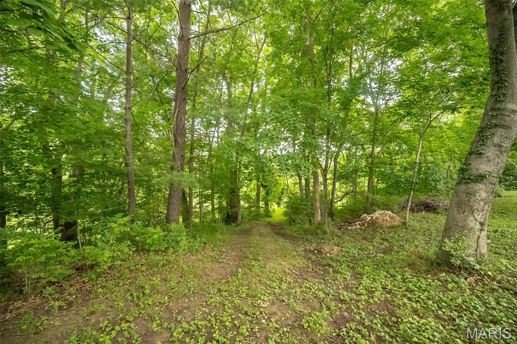 3037 Upper Moss Hollow Road Barnhart, MO 63012 - Photo 55 of 73