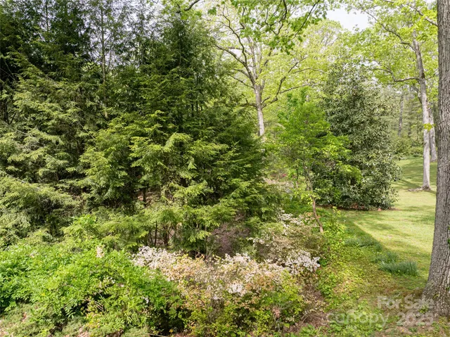 $3,950,000 | 407 Vanderbilt Road, Asheville, NC 28803