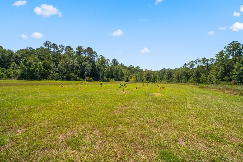 34317 Welch Road Callahan, FL 32011 - Photo 58 of 64 Gallery Image 58