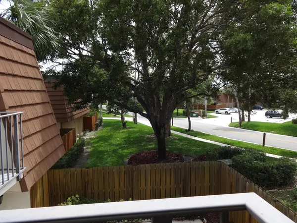 a view of backyard with wooden fence and a large tree