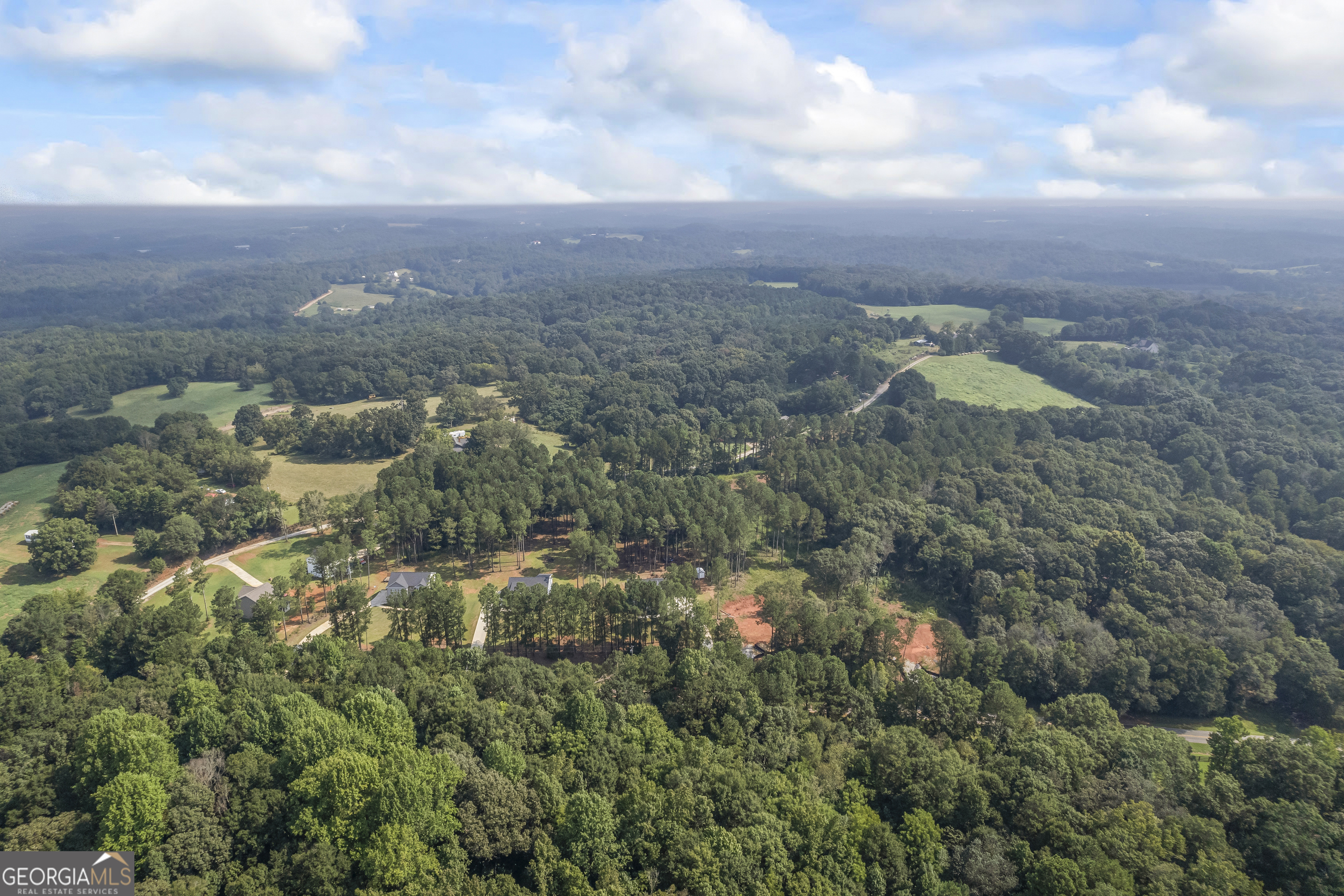 1350 Noah Crow Road Royston, GA 30662 - Photo 3 of 48 a view of a bunch of trees