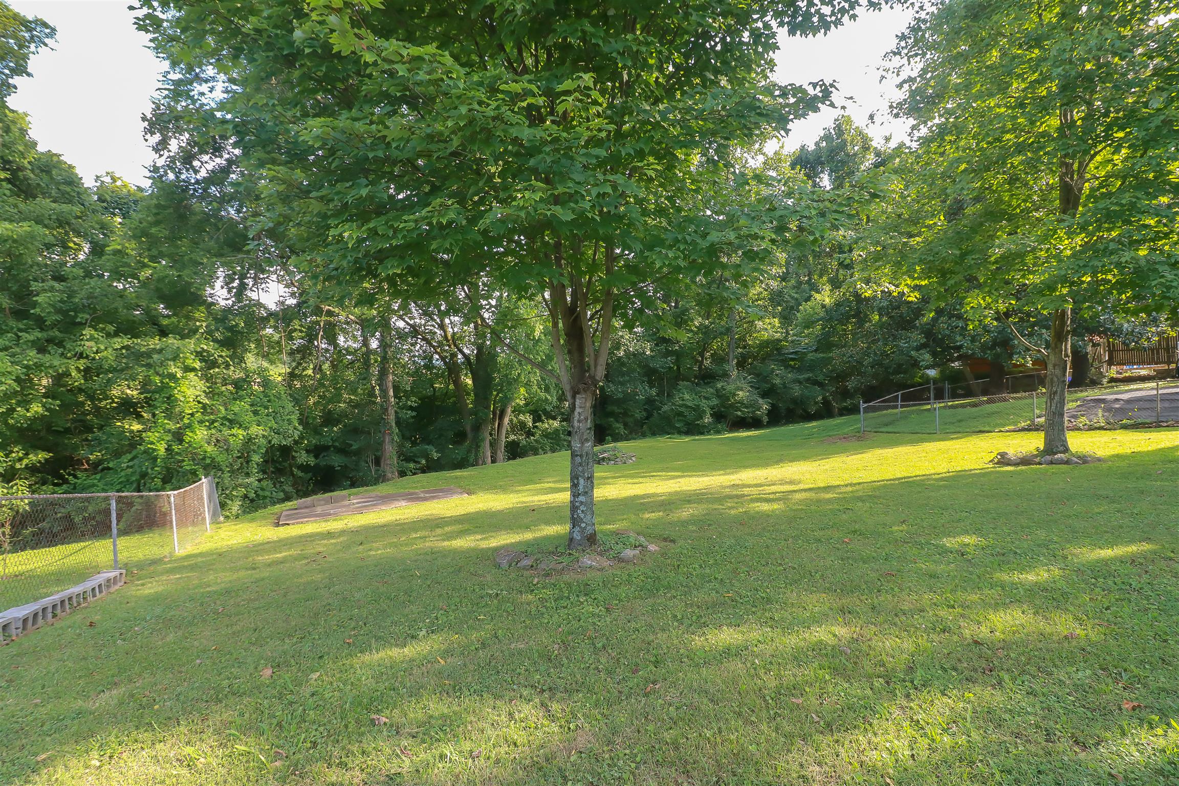753 Reeves Road Antioch, TN 37013 - Photo 23 of 23 Supersized shady lot backs up to a wooded treeline.