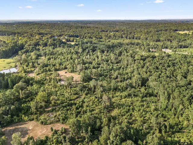 a view of a floor to ceiling window and a yard