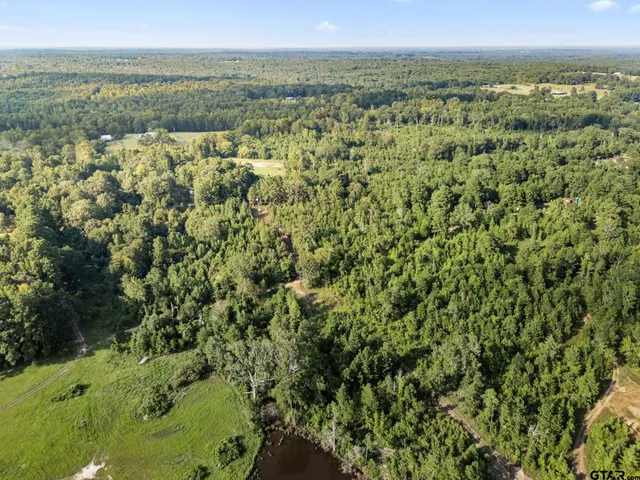 an aerial view of residential houses with outdoor space and trees