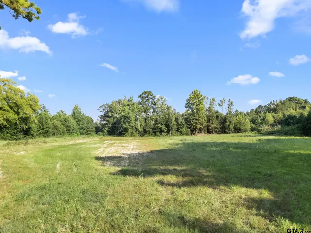 a view of a yard and an trees