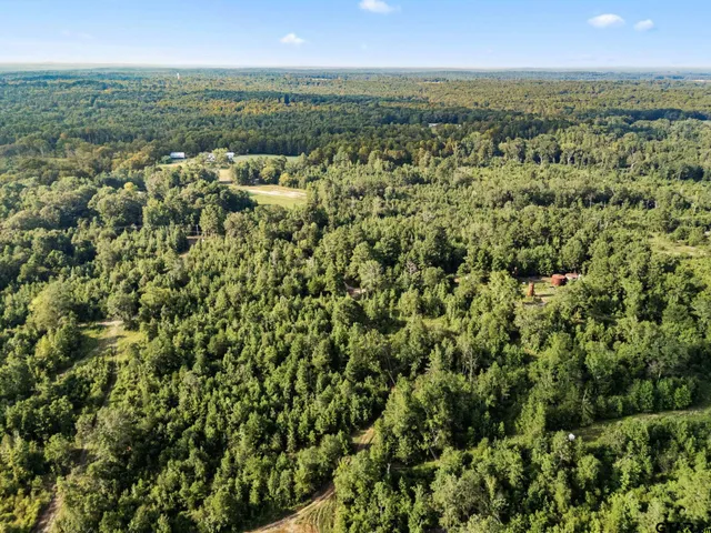 an aerial view of residential houses with city view