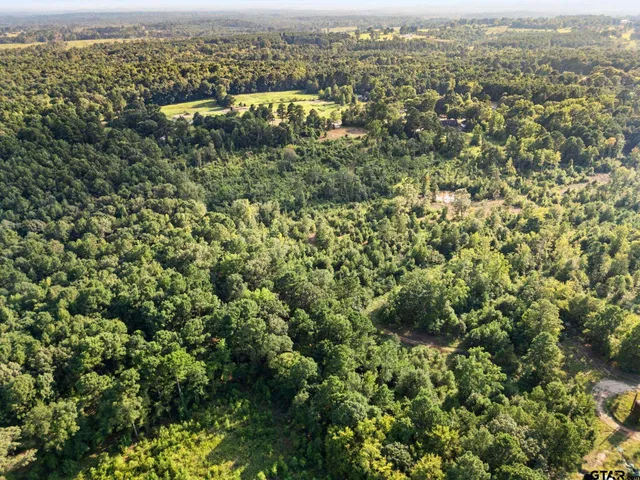 an aerial view of a residential houses with outdoor space and trees
