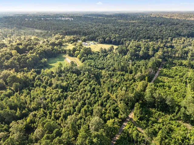 an aerial view of residential houses with outdoor space and trees