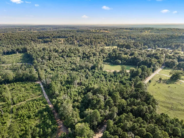 an aerial view of residential houses with outdoor space and trees
