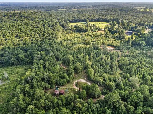 an aerial view of residential houses with outdoor space and trees