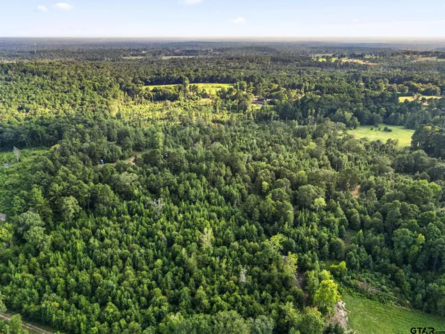 a view of a green field with lots of green space