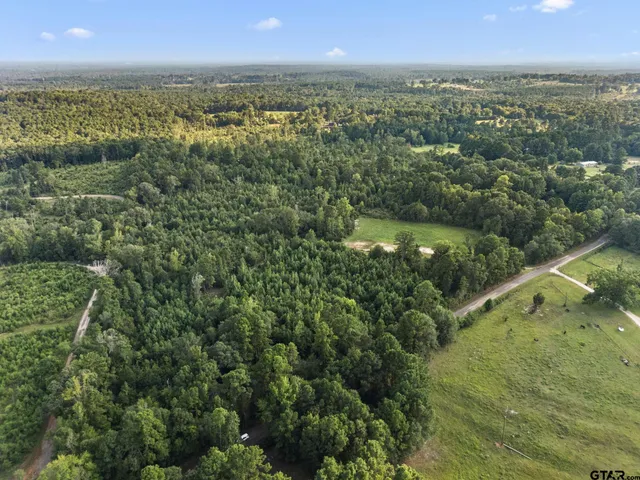 a view of a city with lush green forest