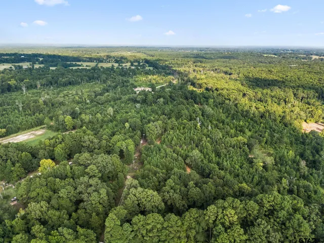 $332,735 | 323 West (new London) Overton Tx 75684, Overton, TX 75684