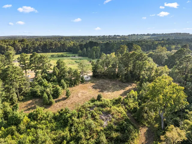 a view of a city with lush green forest