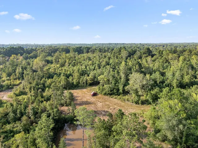 an aerial view of residential houses with outdoor space and trees