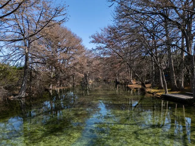 a view of lake with trees