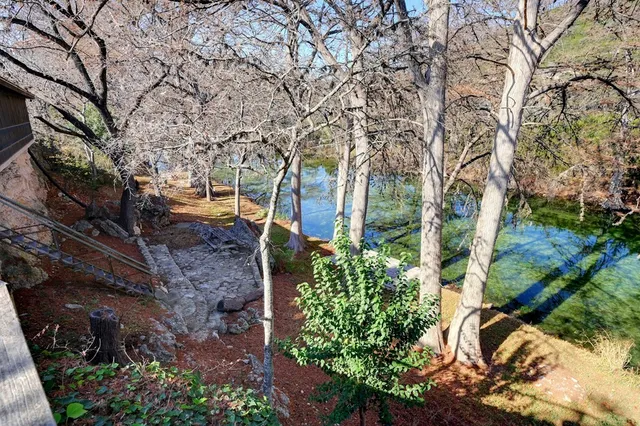 a backyard of a house with large trees and plants