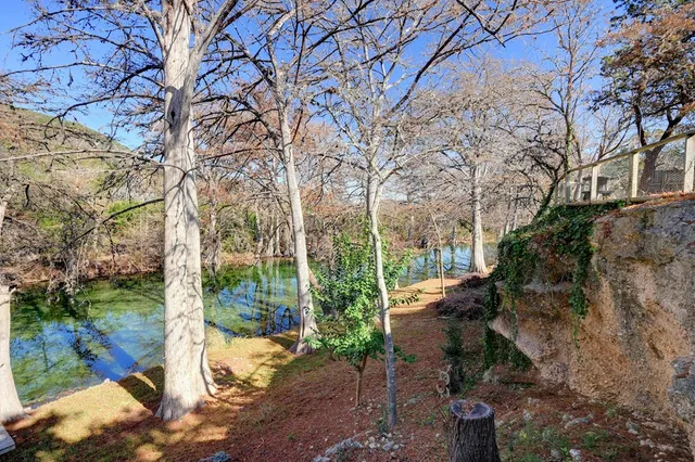 a view of a backyard with table and chairs and a large tree