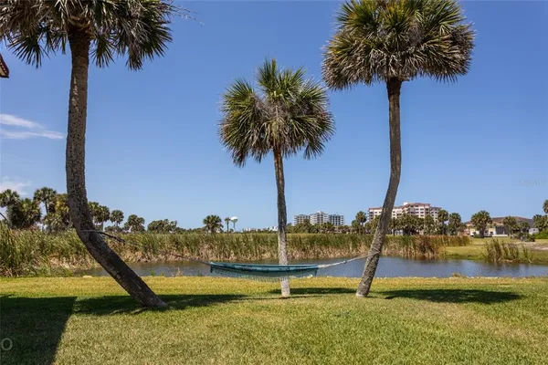 a view of a water with palm trees