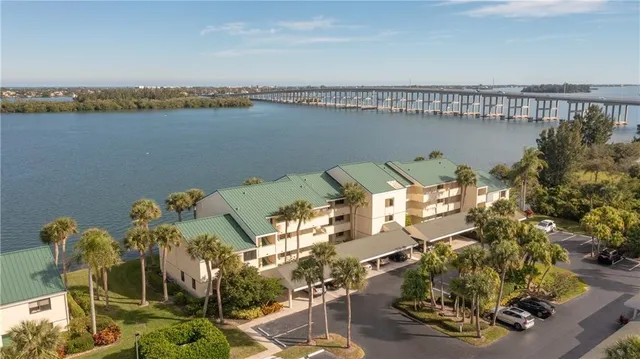 a view of a garden with a tree