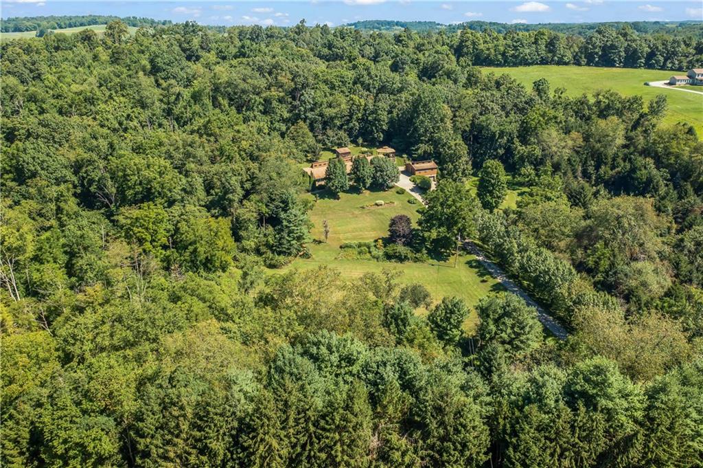 143 Lynn Road Washington, PA 15301 - Photo 2 of 25 a view of a lush green forest with a houses