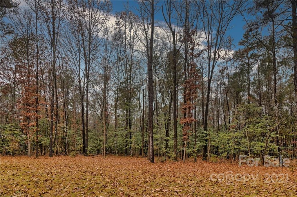 1063 Fincher Road Fort Lawn, SC 29714 - Photo 31 of 31 Gallery Image 31